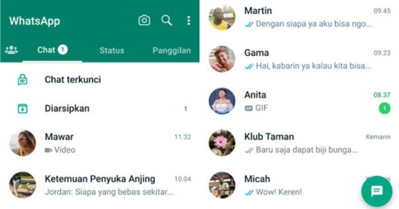 whatsapp.com/privacy